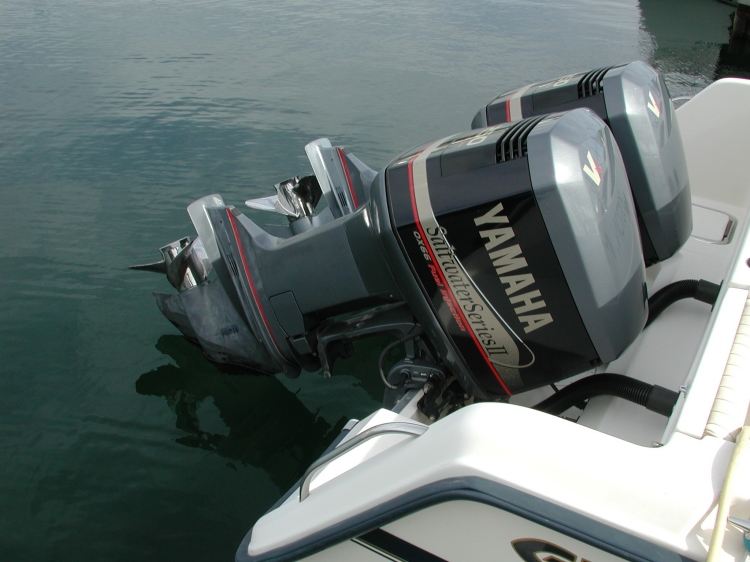 l_engines.jpg - 2000 Grady White 300 Marlin - Yamaha Salt Water Series II 0x66 - 250HP each