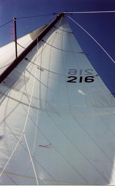 wavemagic_mainsail.jpg - Main Sail view 1 of Wave Magic (old mast)